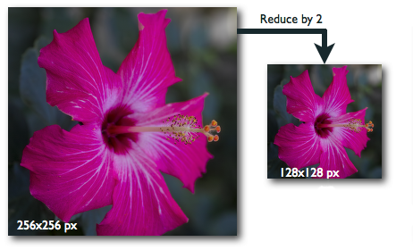 Image resizing in action.